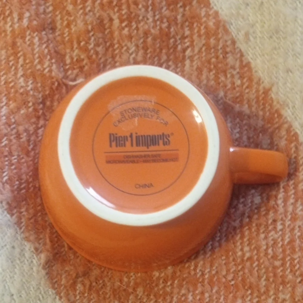 Pier 1 Imports Orange Stoneware Tea Cup